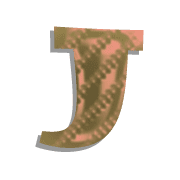 010