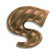 019