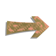 101