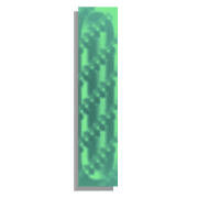081