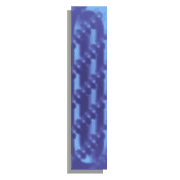 081