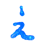 004