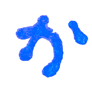 006