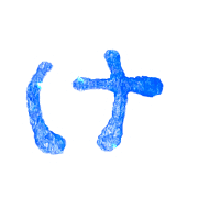 009