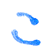 010
