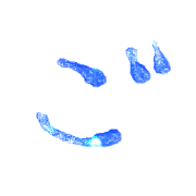 060