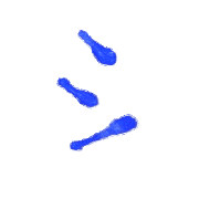 092