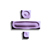 076