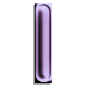 081