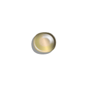 092