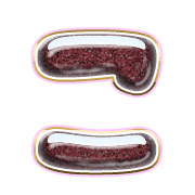 010