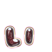048