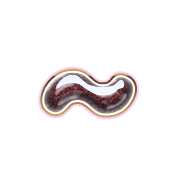 224