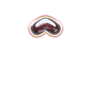 231