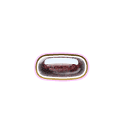 251