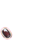256