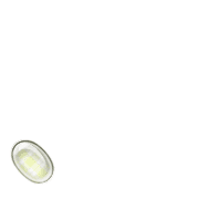 256