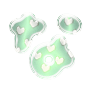 021