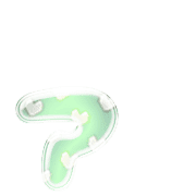 127