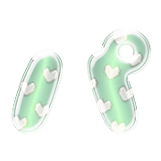 156