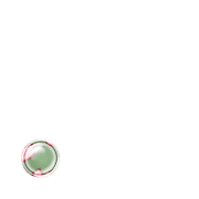 246