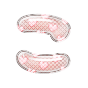 010