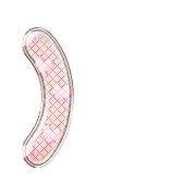 235