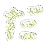 066