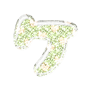 089