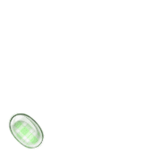 256