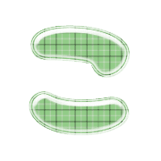 010
