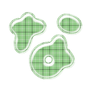 021