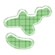 061