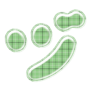148