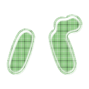 151