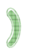 235