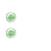 244