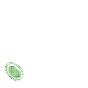 256