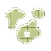 021