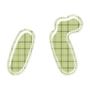 151