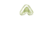 231