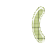 234