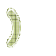 235