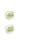 244