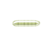 251