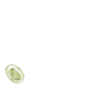 256