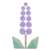 019