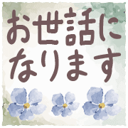 006