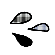 004