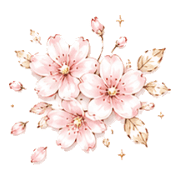 003
